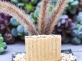 Turmeric oat soap bar
